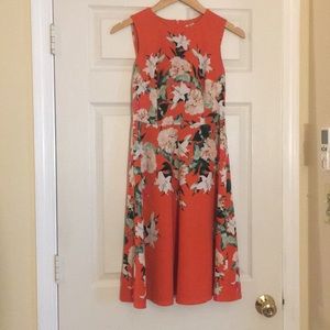 Fit and flare floral print dress